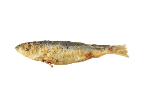 Grilovaná ryba — Stock fotografie