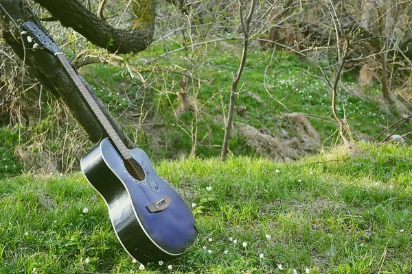Yeşil çimenlerin üzerinde akustik gitar — Stok fotoğraf