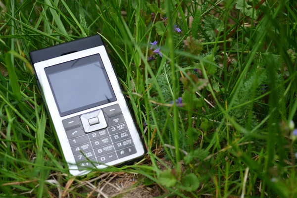 Mobile Phone in green grass