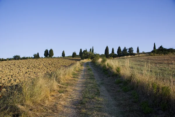 Tuscany landscape around of Pienza — Stock Photo, Image