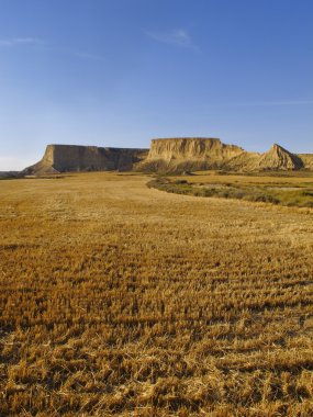 Bardenas Reales