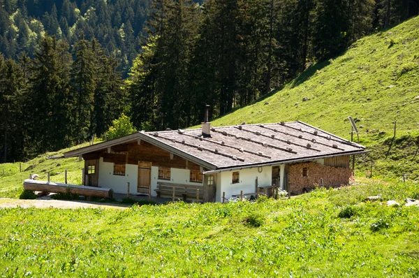 Alpesi legelő — Stock Fotó
