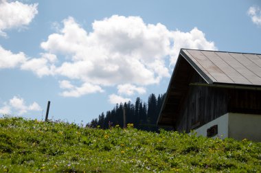 Alp Çayırı