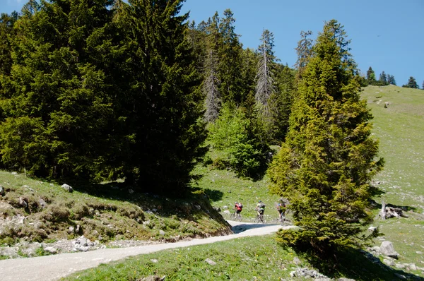 stock image Mountain Bike Riders