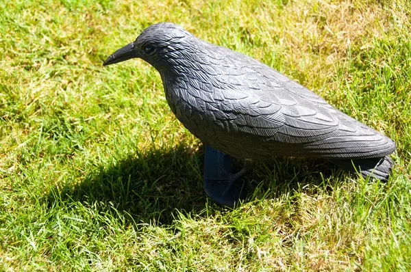 Uccello di plastica — Foto Stock