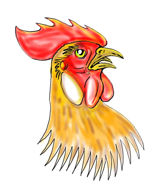 Rooster or cockerel sketch — Stock Photo, Image