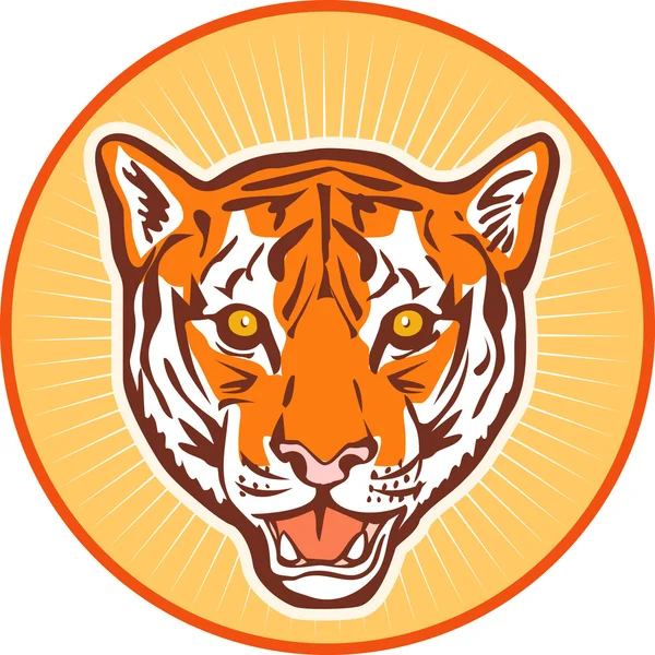 Tiger front head — Stock Photo, Image
