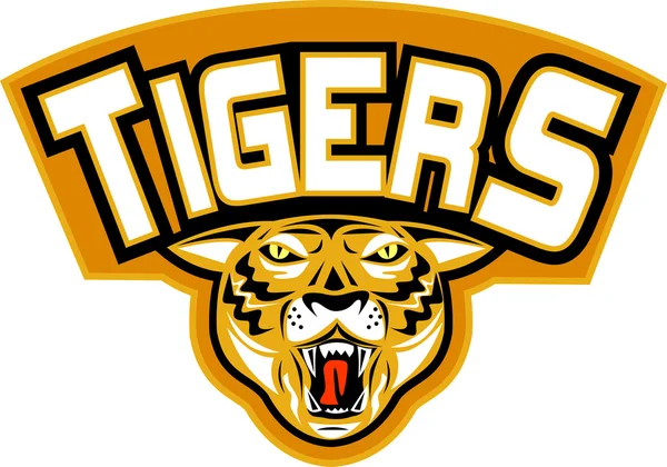 Tiger esportes mascote cabeça frente — Fotografia de Stock