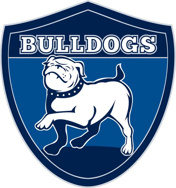 Engels bulldog Britse rugby sport team mascotte — Stockfoto