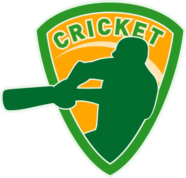 Cricket player batsman batting shield — Stock Photo, Image