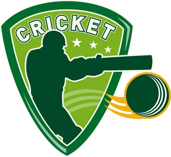 Cricket player batsman batting shield — Stock Photo, Image