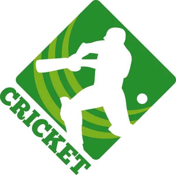 Kriket topa vuran oyuncu vuruş açık — Stok fotoğraf