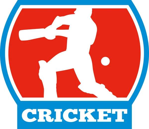 Kriket sportovní pálkař pálku — Stock fotografie