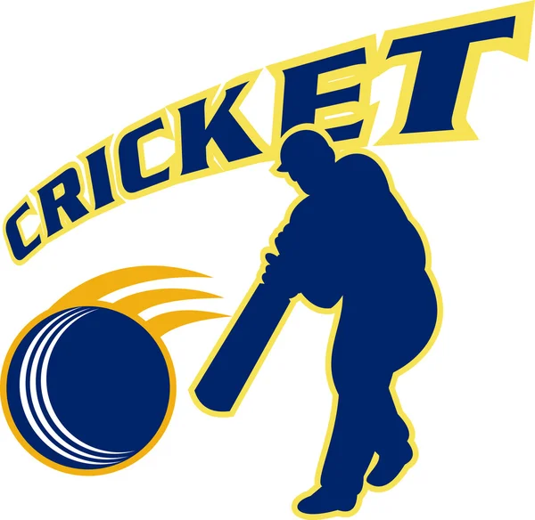 Kriket topa vuran oyuncu vuruş top — Stok fotoğraf