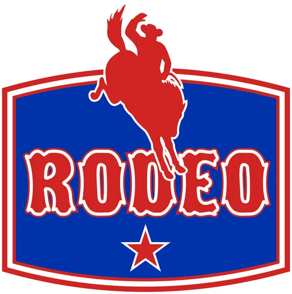 Rodeo kovboj vzpurném bronco — Stock fotografie