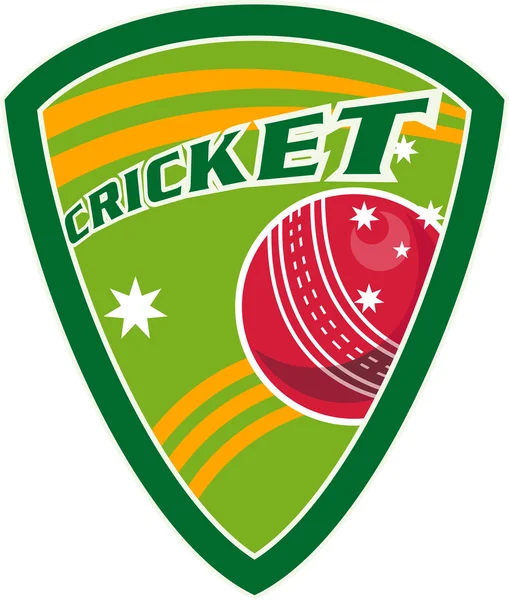 Cricket sports ball shield stars — Stock Photo, Image