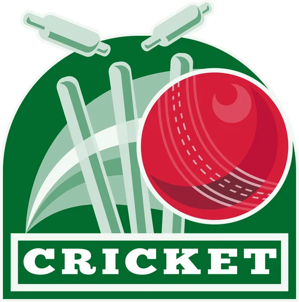 Kriket sportovní míč brankou — Stock fotografie