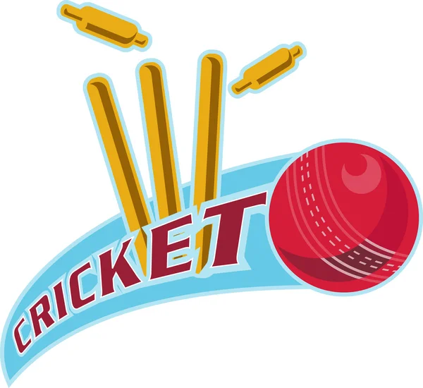 Kriket sportovní míč brankou — Stock fotografie