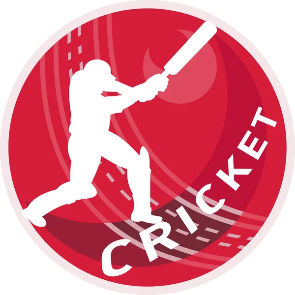 Giocatore di cricket battitore palla da battuta — Foto Stock