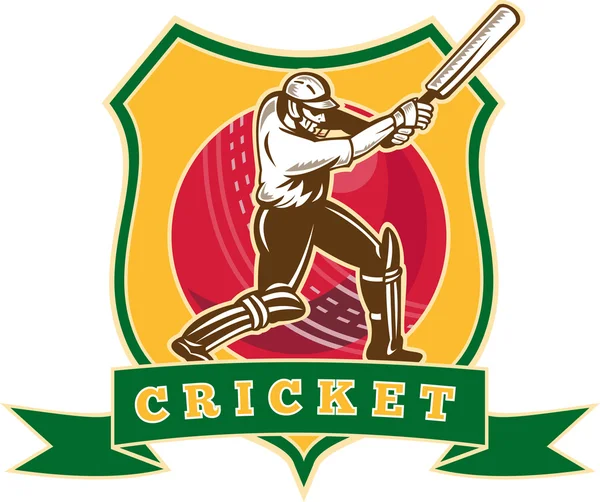 Giocatore di cricket battitore palla scudo — Foto Stock