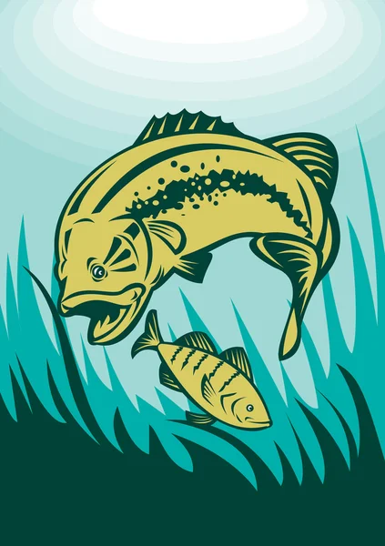 Largemouth bas jagar abborre fisk — Stockfoto