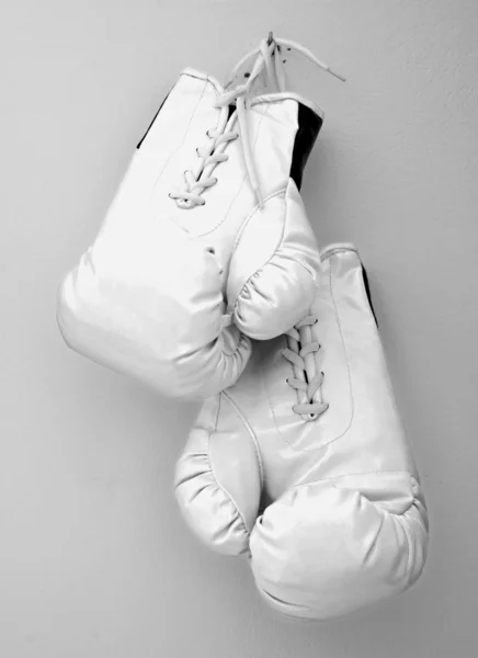 Перчатки — стоковое фото