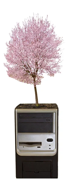 CPU with tree — Stock Photo, Image