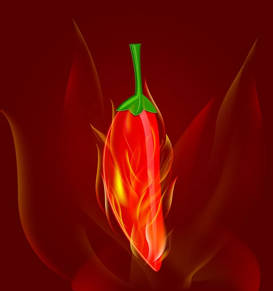 Rød chili-pepper i brann – stockvektor