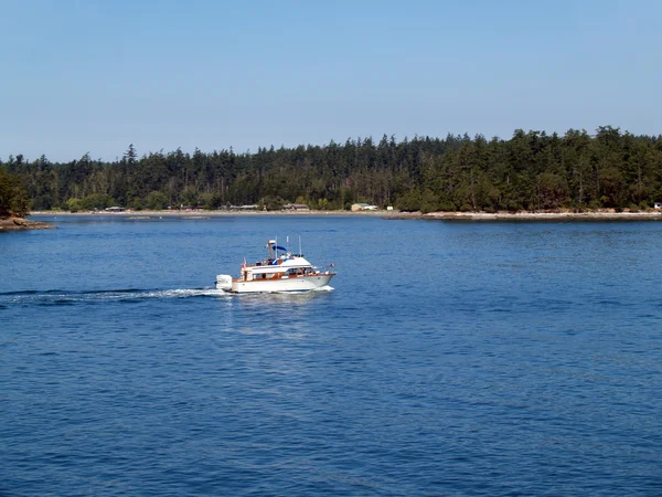 Cabine motorjacht boot op baai in de buurt van bomen — Stockfoto