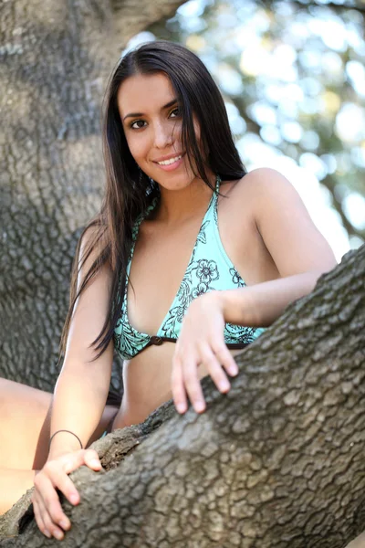 Genç kadın mavi bikinili meşe ağacı — Stok fotoğraf