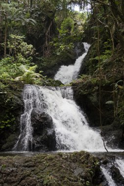 Waterfall cascading down through rain forest hawaii clipart