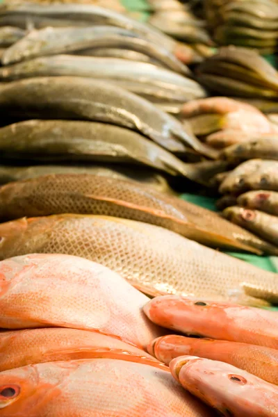 Stapel van verse visvlees — Stockfoto