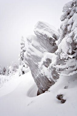 karla kaplı kayalarda ural. Siberia.Taiga.