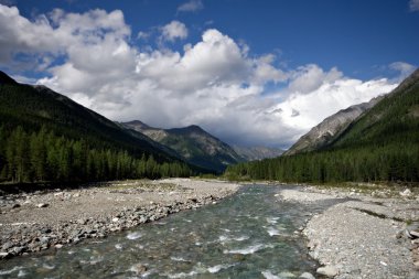 shumak Nehri. Sibirya. Doğu sayan Dağları. burya