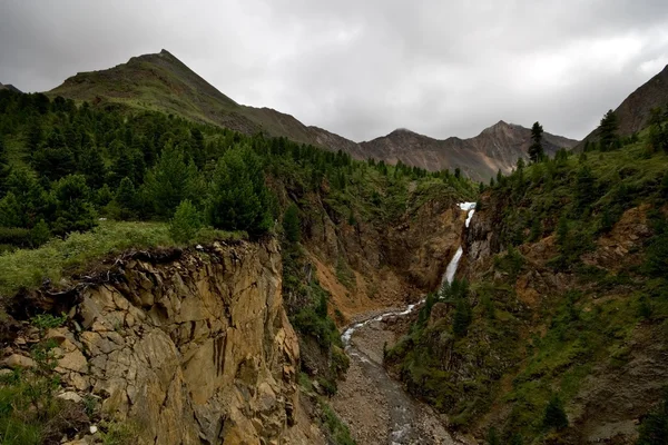 Vilda landskap i taiga,russia.canyon av floden shumak. — Stockfoto