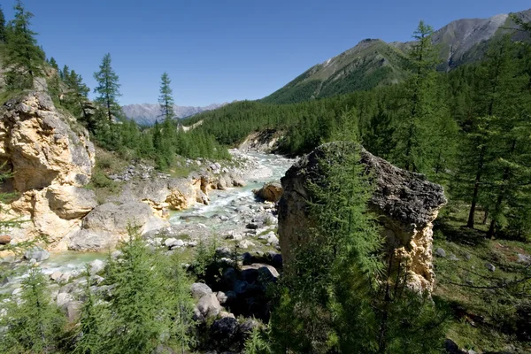 Wild landscape.Stream of mountain river.Siberia,ta — Stock Photo, Image