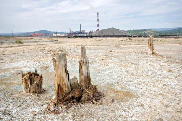 Döda ekologiska öknen nära karabash koppar smältning mill. Royaltyfria Stockbilder
