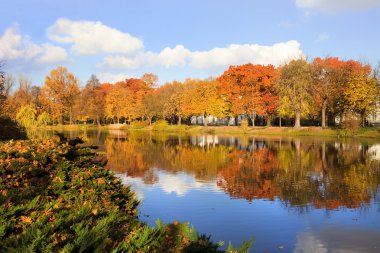 Lazienki Park in Warsaw clipart