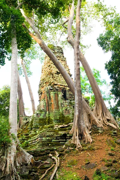 Храм Прэа Палилая в Камбодже — стоковое фото