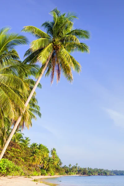 Tropische Inselkulisse — Stockfoto
