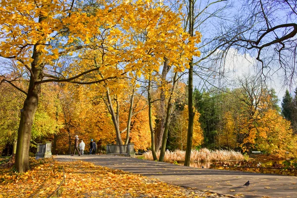 Lazienki Park ในวอร์ซอว์ — ภาพถ่ายสต็อก