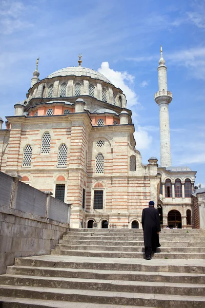 郁金香清真寺的伊斯坦堡 — 图库照片