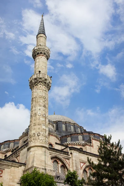 王子清真寺的伊斯坦堡 — 图库照片