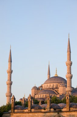Blue Mosque in Istanbul clipart
