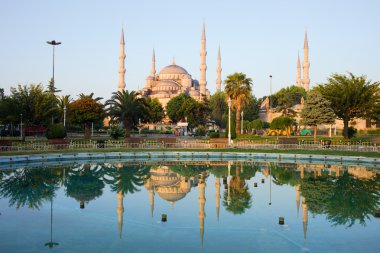 Blue Mosque at Dawn clipart