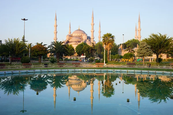 stock image Blue Mosque at Dawn