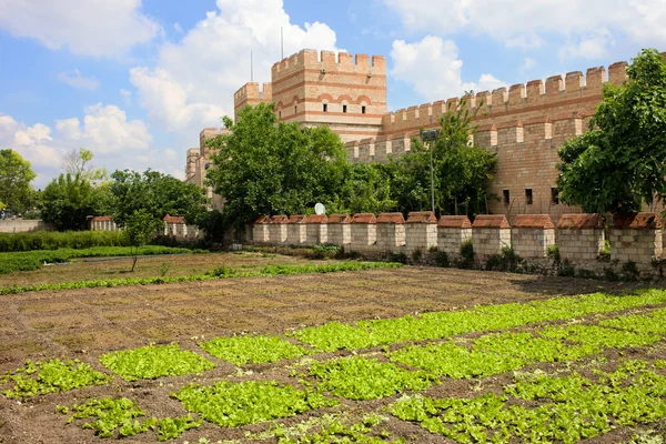 stock image City Walls of Constantinople