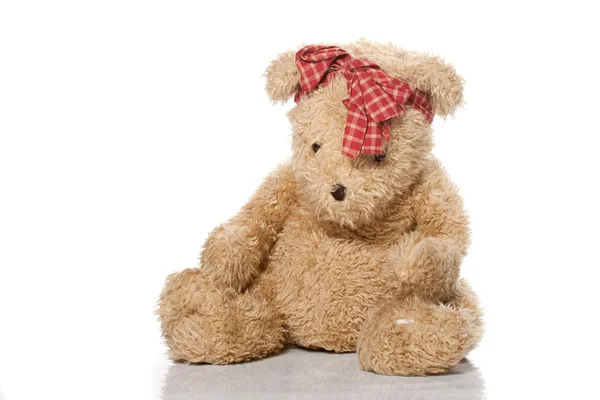 Teddybär isoliert auf weißem Hintergrund — Stockfoto
