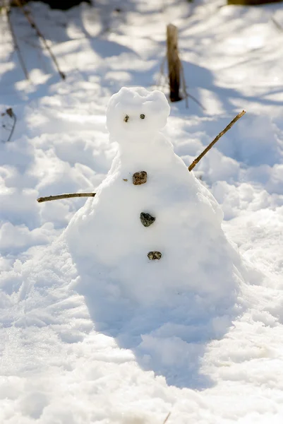 stock image Snowman