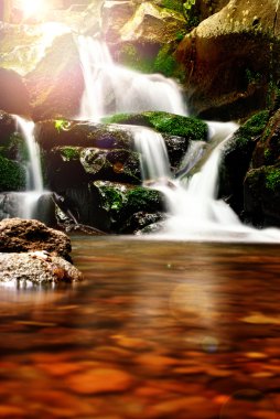 Beautiful waterfall in the forest clipart